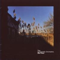 The Cinematic Orchestra - Ma Fleur in the group CD / Pop-Rock at Bengans Skivbutik AB (696568)