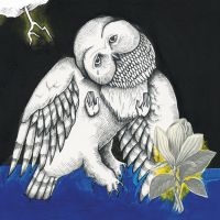 Songs: Ohia - Magnolia Electric Co. (Deluxe Ed.) in the group OUR PICKS /  Christmas gift tip Vinyl at Bengans Skivbutik AB (780812)