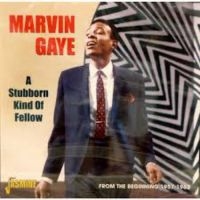 Gaye Marvin - A Stubborn Kind Of Fellow (From The