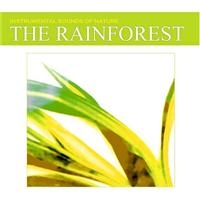 Instrumental Sounds Of Nature - Rainforest