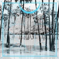 FOUR TET - PINK