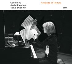 Carla Bleysteve Swallowandy Shepp - Andando El Tiempo