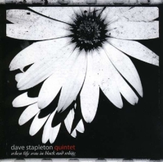 Dave -Quintet- Stapleton - House Always Wins