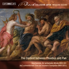 Bach J S - Secular Cantatas, Vol. 9