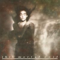 This Mortal Coil - It'll End In Tears (Remastered)