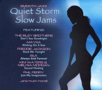 Blandade Artister - Quiet Storm Slow Jams