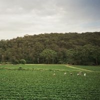 Albrecht La'brody - Healesville