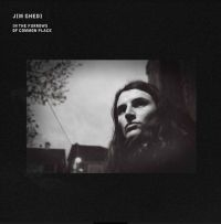 GHEDI JIM - IN THE FURROWS OF COMMON PLACE