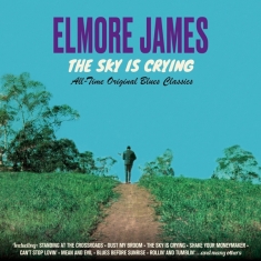 Elmore James - Sky Is Crying