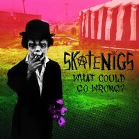 Skatenigs - What Could Go Wrong?