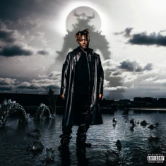 Juice Wrld - Fighting Demons (Vinyl)