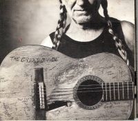 Willie Nelson - The Great Divide