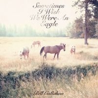 Callahan Bill - Sometimes I Wish We Were An Eagle