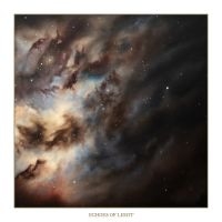 Chapel Of Disease - Echoes Of Light (Marbled Vinyl Lp)