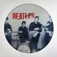 Beatles The - Decca Tapes The (Picture Disc Vinyl