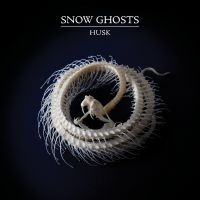 Snow Ghosts - Husk (Clear Vinyl)