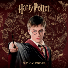 Harry Potter  - 2025 Square Calendar