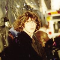 Sentridoh - Really Insane : A Lou Barlow Compen