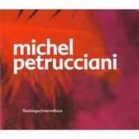 Michel Petrucciani - Flamingo / Marvellous