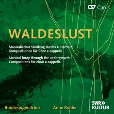 Max Reger Elisabeth Fußeder Felix - Musical Foray Through The Undergrow