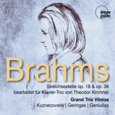 Grand Trio Vilnius - Johannes Brahms: String Sextets Opp