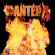 Pantera - Reinventing The Steel Pantera - Reinventing The Steel