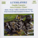 Lutoslawski Witold - Orchestral Works Vol 8 Lutoslawski Witold - Orchestral Works Vol 8